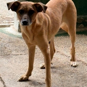 GÉNESIS Image 7